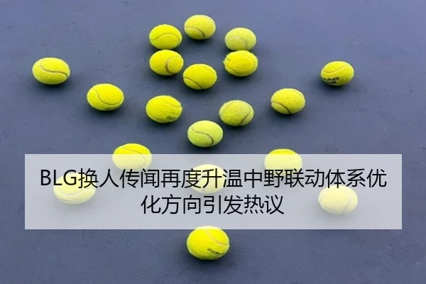 BLG换人传闻再度升温中野联动体系优化方向引发热议